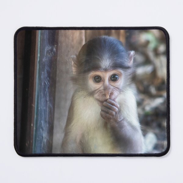 Item preview, Macaca mulatta designed and sold by Mythos57.