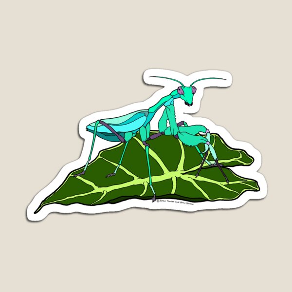 Blue Asian Mantis Magnet