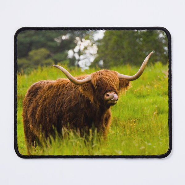 Item preview, Highland Cow designed and sold by JeanKellyPhoto.