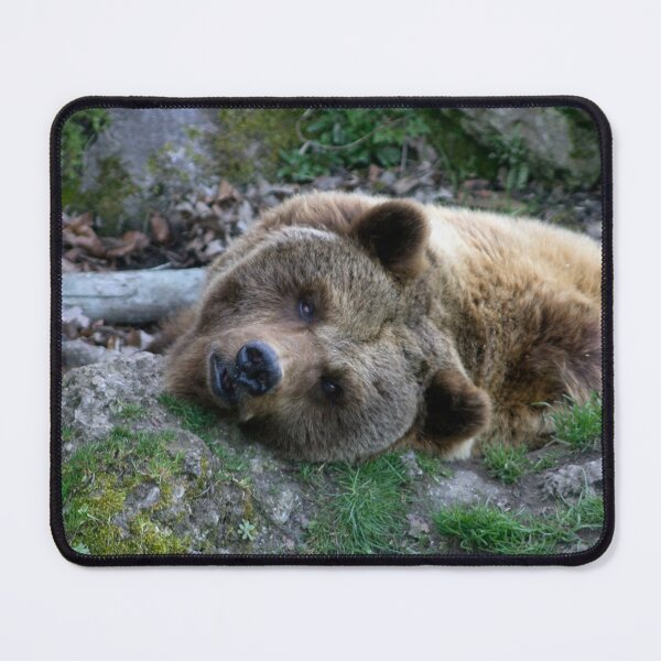 Item preview, Ursus arctos designed and sold by Mythos57.