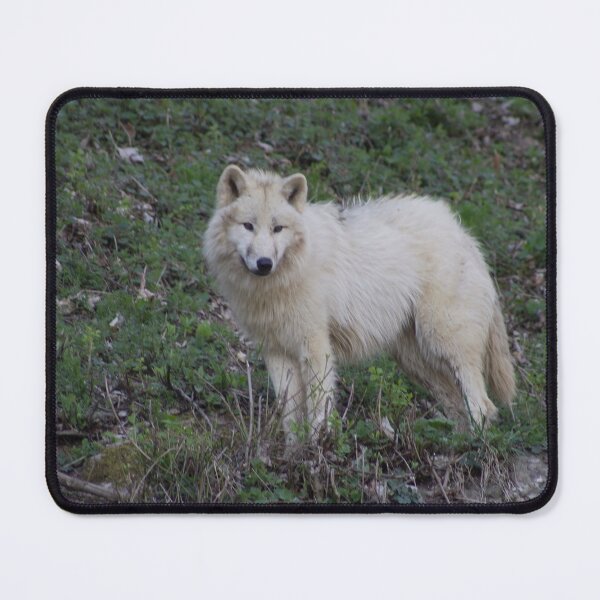 Item preview, Canis lupus arctos designed and sold by Mythos57.