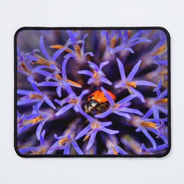 Item preview, Ladybug On Allium giganteum designed and sold by Mythos57.