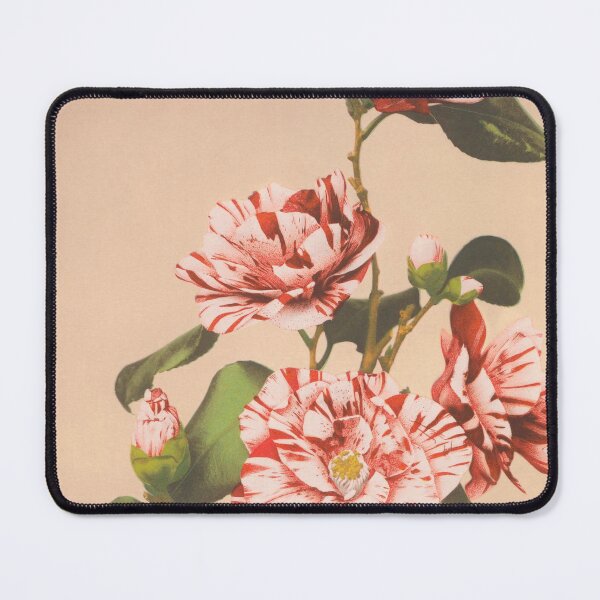 Item preview, Retro Japanese Flower Striped Camellias (1887–1897) by Ogawa Kazumasa designed and sold by Designedbysm.