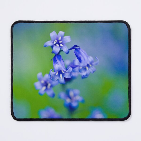 Artikelvorschau, Glockenblumen entworfen und verkauft von JeanKellyPhoto.