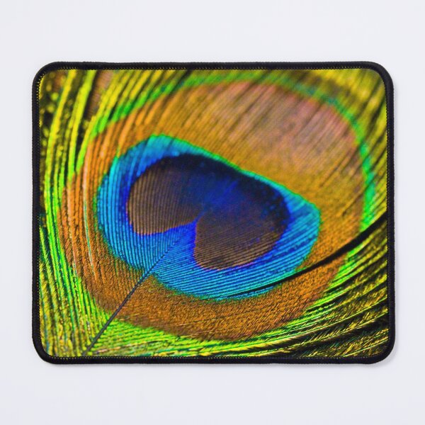 Item preview, Peacock Feather designed and sold by JeanKellyPhoto.