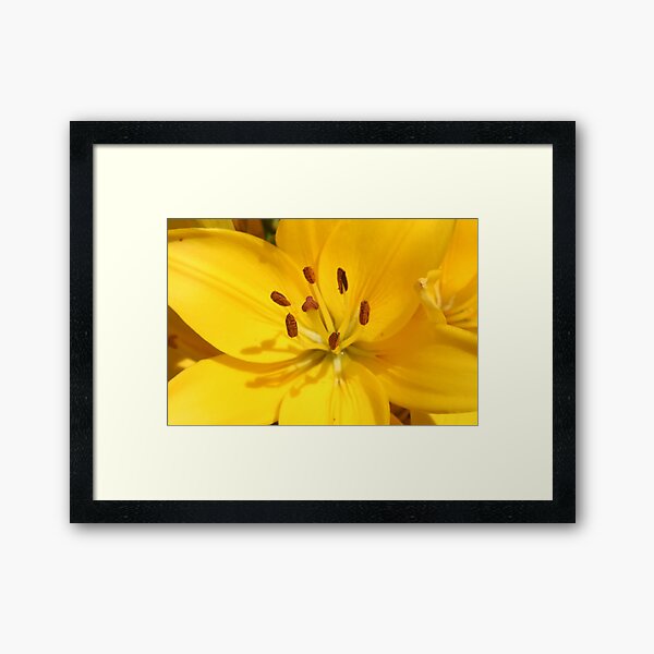 Item preview, Sunshine Lilly designed and sold by Heather Caye.