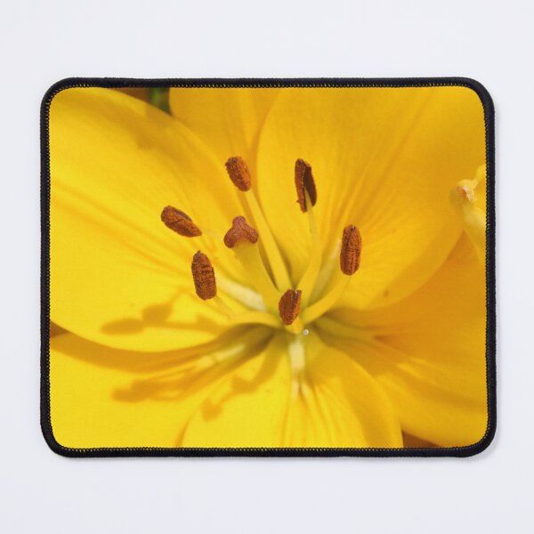Item preview, Sunshine Lilly designed and sold by Heather Caye.
