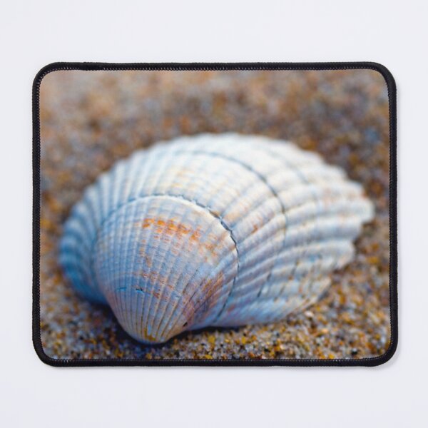 Item preview, Seashell designed and sold by JeanKellyPhoto.