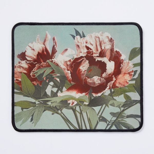 Item preview, Retro Japanese Flower Peony(1896) by Kazumasa Ogawa designed and sold by Designedbysm.