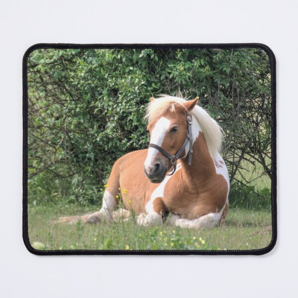 Item preview, Haflinger designed and sold by Mythos57.