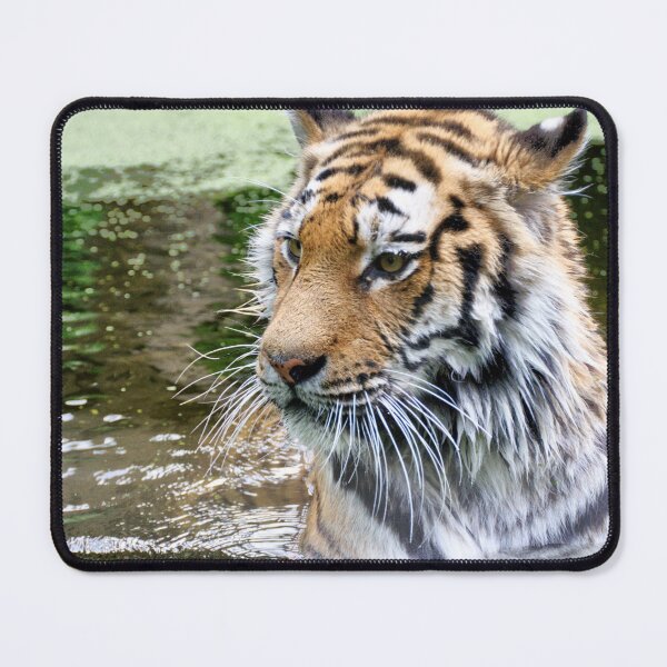Item preview, Cooling Off designed and sold by Mythos57.