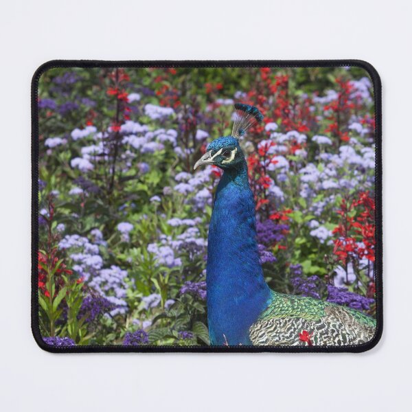 Item preview, Pavo cristatus designed and sold by Mythos57.