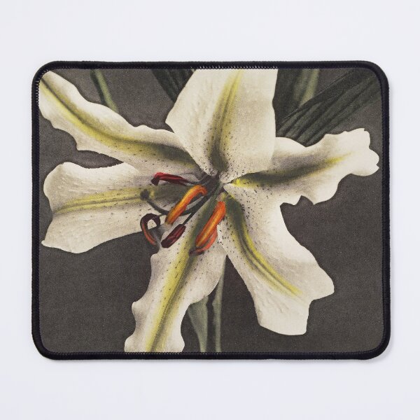 Item preview, Retro Japanese Flower Lily (1896) by Kazumasa Ogawa designed and sold by Designedbysm.