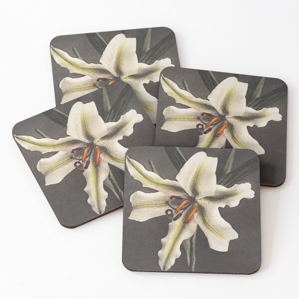 Item preview, Retro Japanese Flower Lily (1896) by Kazumasa Ogawa designed and sold by Designedbysm.
