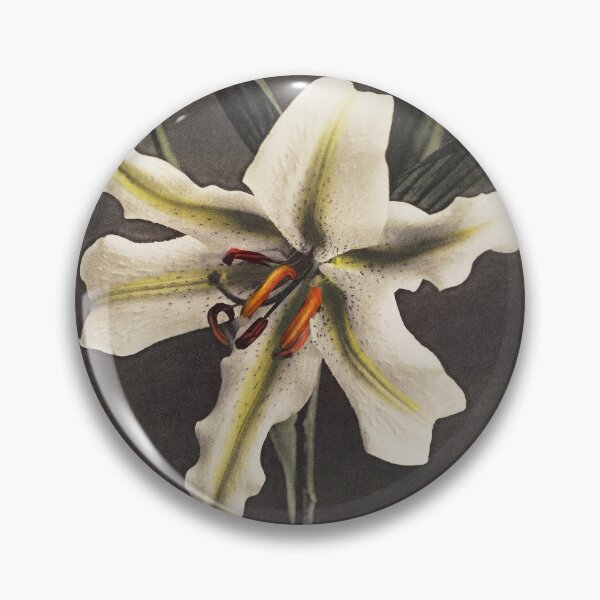 Item preview, Retro Japanese Flower Lily (1896) by Kazumasa Ogawa designed and sold by Designedbysm.
