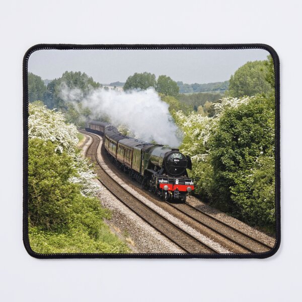 Item preview, A3 Class 60103 Flying Scotsman Steam Locomotive designed and sold by Andy Harker.