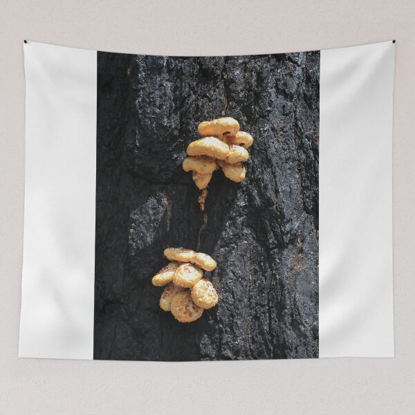 Item preview, Toadstools designed and sold by zumi.