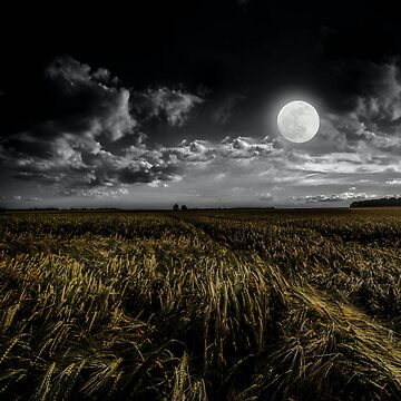 Artwork thumbnail, Full Moon Field by Comfy Creations