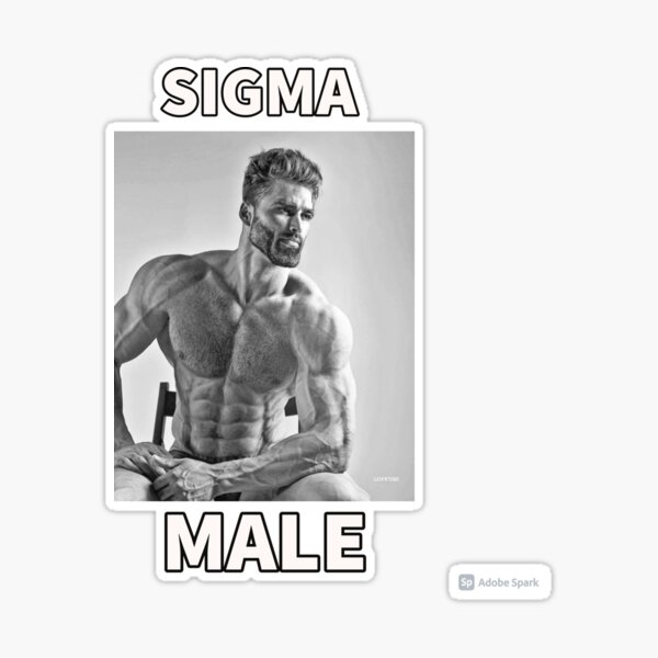  Giga Chad Alpha Male Gym Meme Funny Pullover Hoodie : Clothing,  Shoes & Jewelry