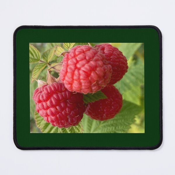 Item preview, Closeup Red Raspberry  designed and sold by Amanda1775.