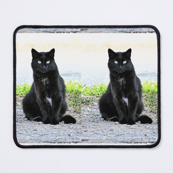 Item preview, r 2540/ 9 Chat-Cat " Diane, la belle Chatte de la rue " finition 2020 par Okaio Créations - Olavia&Olao designed and sold by o.okaïo.