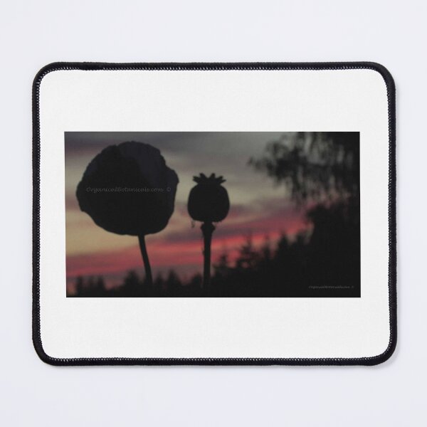 Item preview, Poppy Pod Silhouette al atardecer designed and sold by PoppyPrintShop.