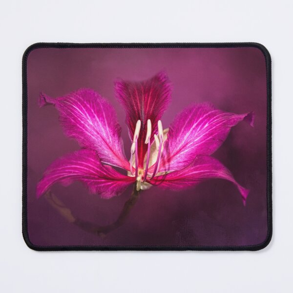 Item preview, Pink Hong Kong Orchid designed and sold by Elisabeth Lucas.