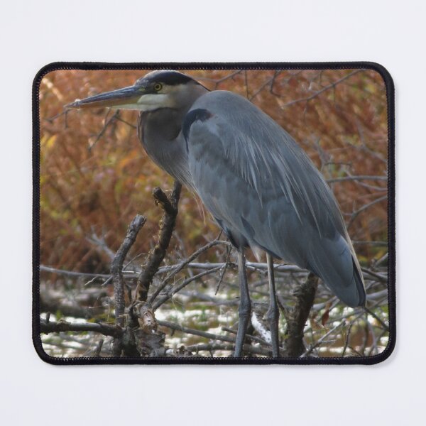 Item preview, Great Blue Heron with Fall Colors designed and sold by Sam Morrison.