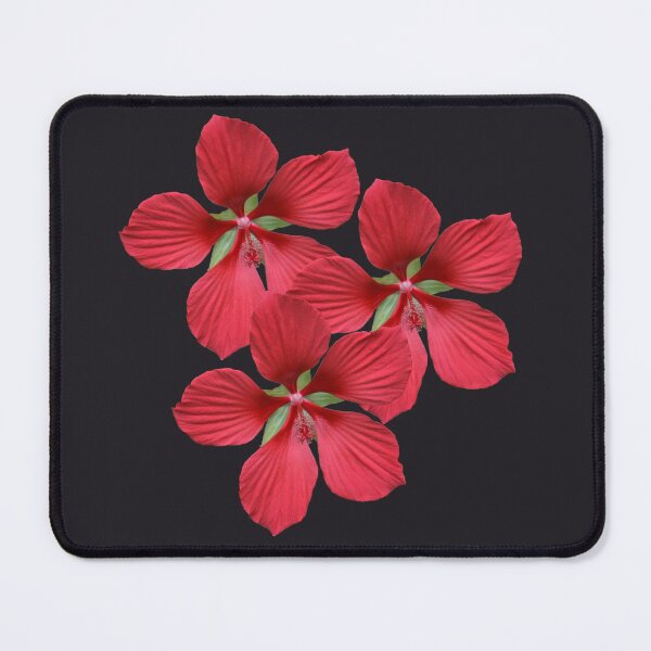 Item preview, Red Single Hibiscus on Black designed and sold by STHogan.