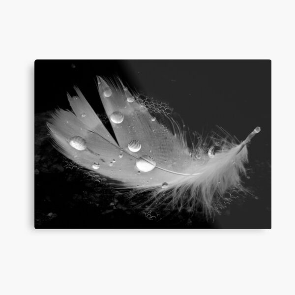 Item preview, White Swan Feather with Magnified Water Droplets designed and sold by Sam Morrison.