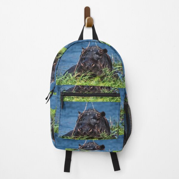 Item preview, Hippo With Hat in the Chobe River designed and sold by Kay Brewer.