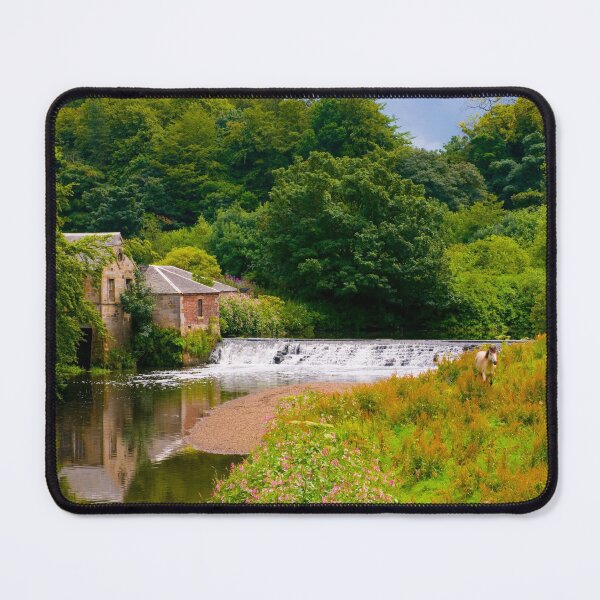 Item preview, Horses in Pollok Park, Glasgow, Scotland designed and sold by JeanKellyPhoto.