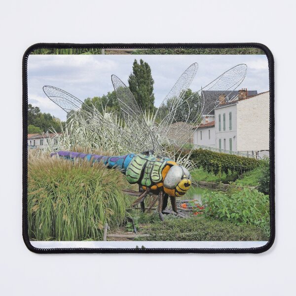 Item preview, 2505/ 11 Marais Poitevin " love Coulon " La belle Libellule de Coulon "  2020 par Okaio Créations - Olavia&Olao avec mon fz 2000 designed and sold by o.okaïo.
