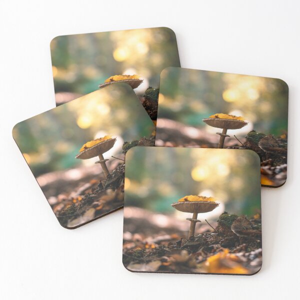 Item preview, Golden Mushroom and Sunrise designed and sold by OiaK.