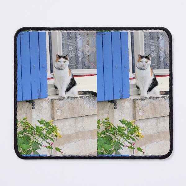Item preview, 2503/ 9 Marais Poitevin " love Coulon " La Chatte aux Volets Bleu " 2020 par Okaio Créations - Olavia&Olao avec mon fz 2000 designed and sold by o.okaïo.