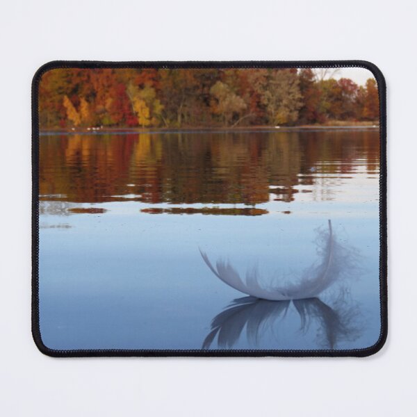 Item preview, Swan Feather Floating on Lake - The Vicksburg Collection designed and sold by Sam Morrison.