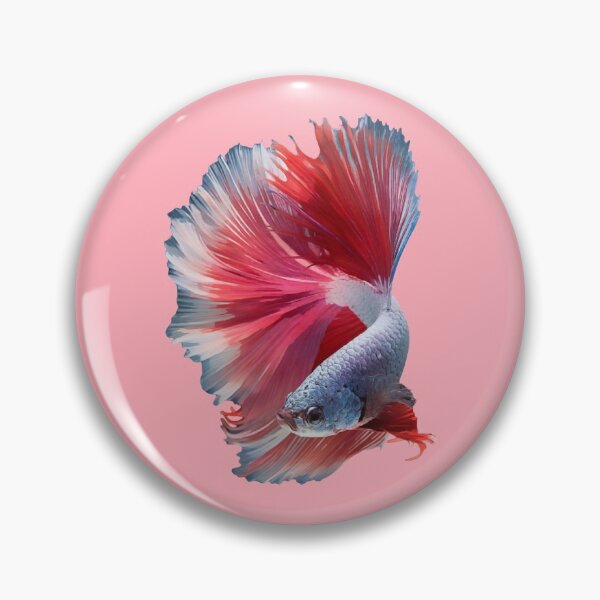 Item preview, Butterfly betta designed and sold by Bettaimbellis.