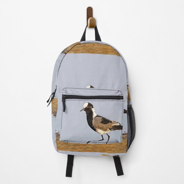 Item preview, Blacksmith Lapwing Aka Blacksmith Plover designed and sold by Kay Brewer.