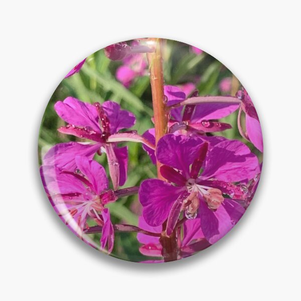 Item preview, Alaskan Fireweed designed and sold by bethjmcewen.