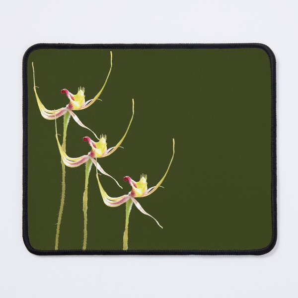 Item preview, Spider Orchid designed and sold by STHogan.