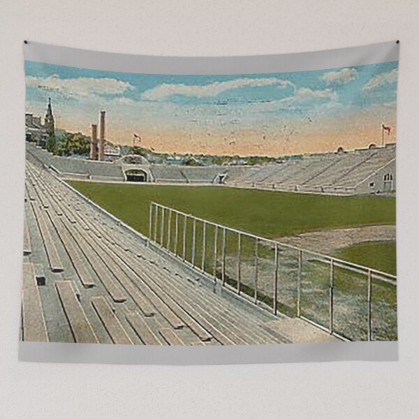 Item preview, Taylor Stadium Lehigh University, Bethlehem PA, Old Lehigh Stadium, Lehigh vs Lafayette, South Side, Lehigh Engineers. Lehigh Mountain Hawks, Marching 97, Brown and White designed and sold by Nostrathomas66.