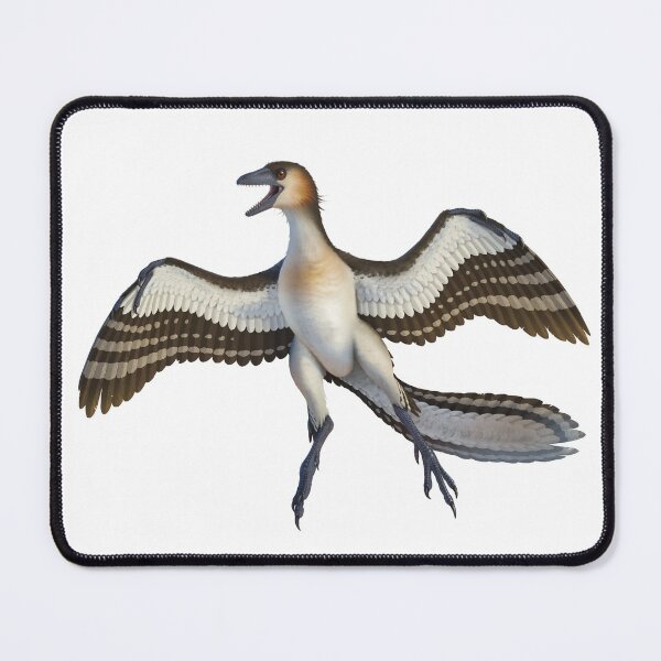Item preview, Archaeopteryx designed and sold by David Arruda.