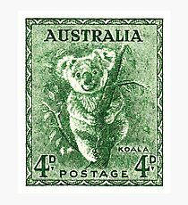 1940 Australia Koala Postage Stamp Photographic Print