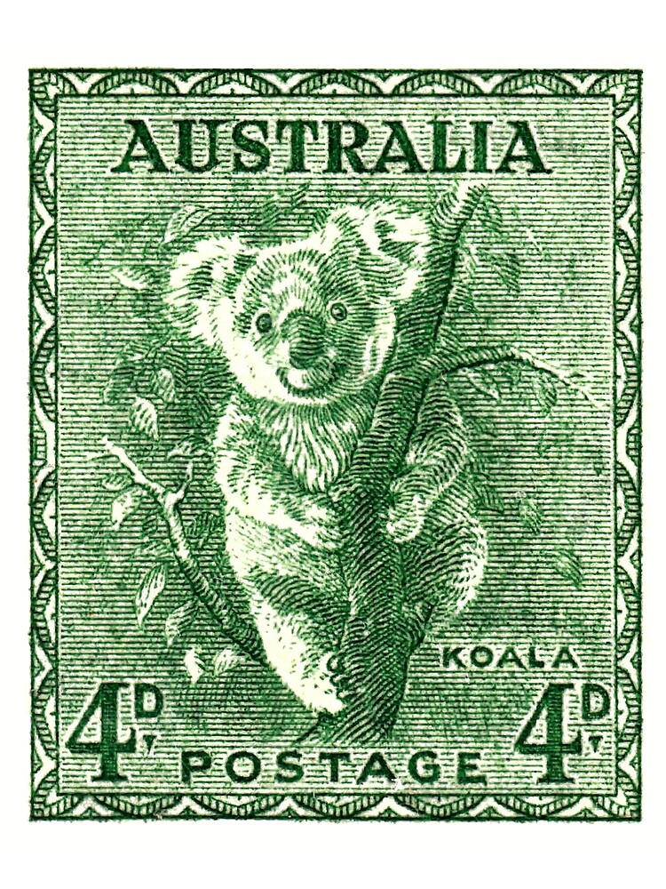 Foulard Motif Koalas