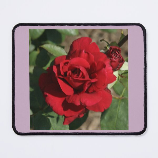 Item preview, Red Rose designed and sold by STHogan.