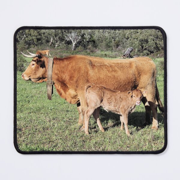Item preview, Horned cattle - A rare sight these days designed and sold by WesternExposure.