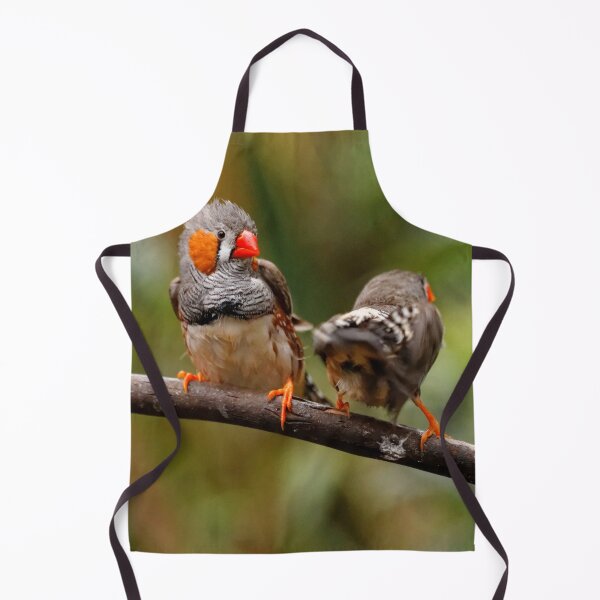 Item preview, Funny Shake that Booty, Zebra Finch! designed and sold by walkswithnature.