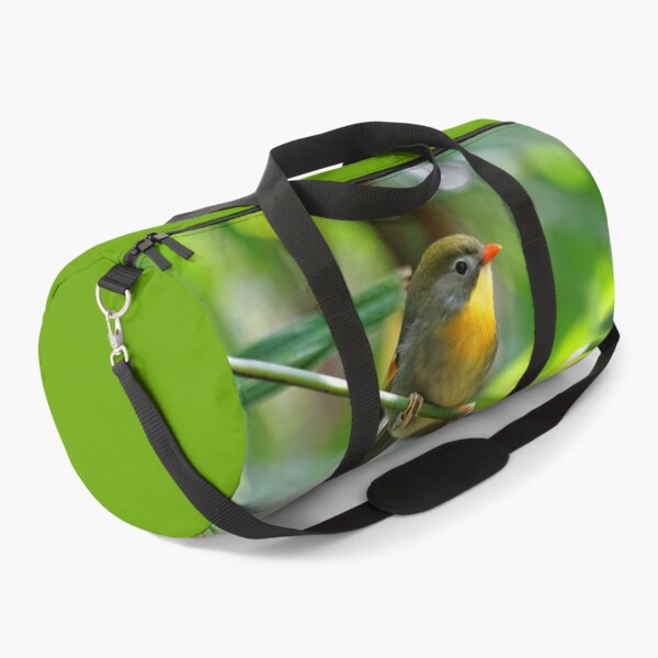 Item preview, Close Encounter with a Male Pekin Robin designed and sold by walkswithnature.