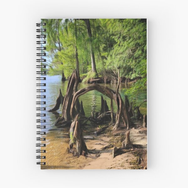 Item preview, The Swamp Gates designed and sold by Dead-Moroz.