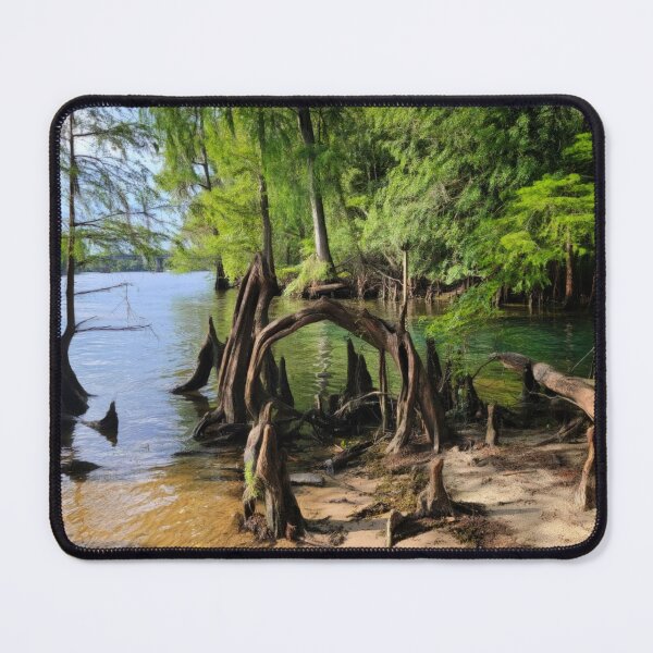 Item preview, The Swamp Gates designed and sold by Dead-Moroz.